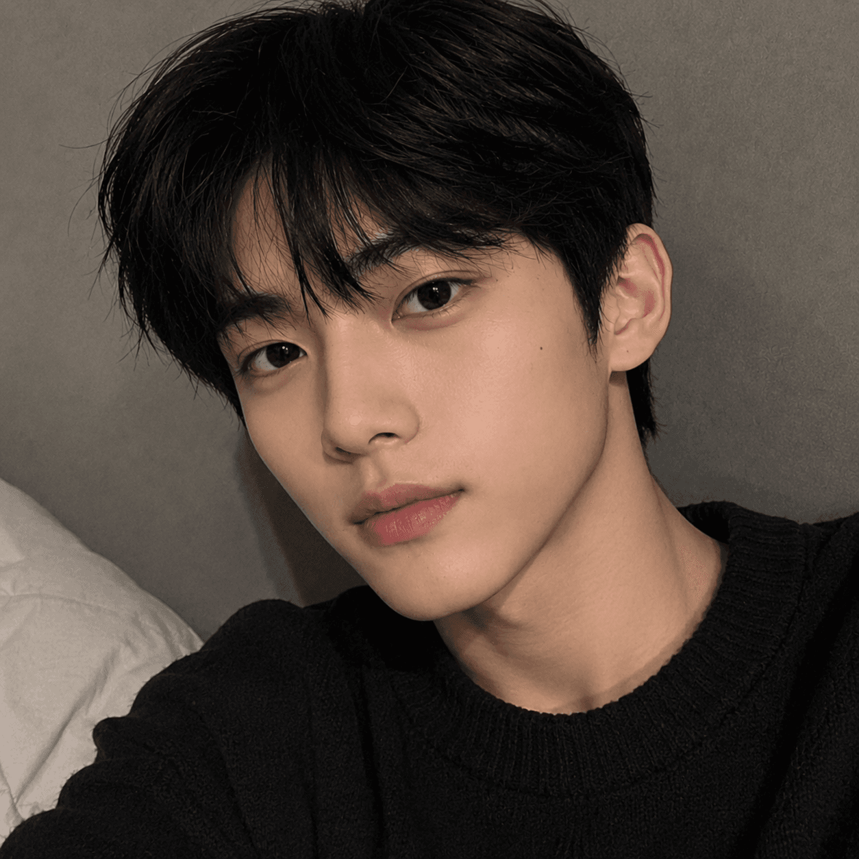 박도현